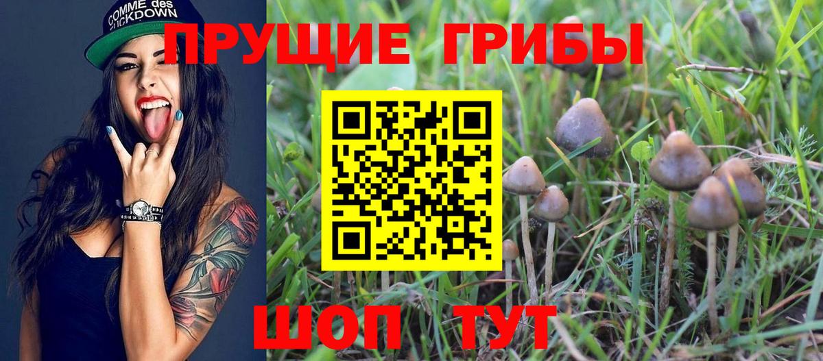 Псилоцибиновые грибы мухоморы Тулун
